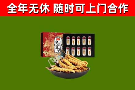 青原区回收冬虫夏草价格
