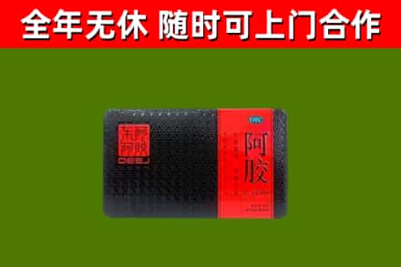 青原区回收阿胶